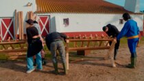 The Farm Portugal - Episode 12