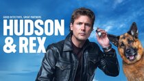 Hudson & Rex - Episode 7 - Dancer, Traitor, Shepherd, Spy