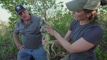 Swamp People: Serpent Invasion - Episode 5 - Scorched