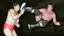 Dark Side of the Ring - Episode 3 - Terry Gordy: Final Flight of the Freebird