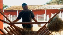 The Farm Portugal - Episode 59