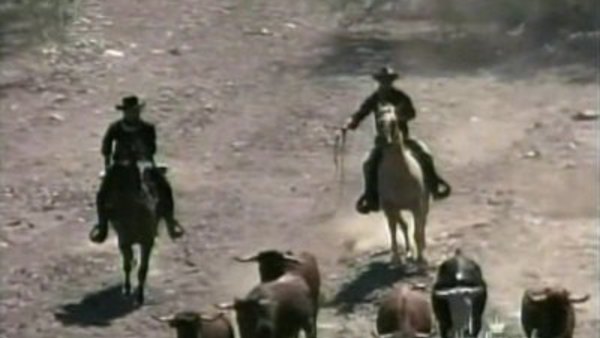 Torrent High Chaparral Season 1