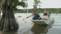 Swamp People - Episode 16 - Legacy on the Line
