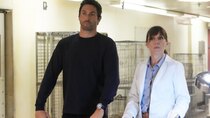 NCIS: Hawai'i - Episode 10 - Divided We Conquer (2)