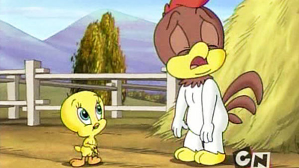 Baby Looney Tunes All Episodes Torrent