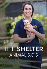 The Shelter: Animal SOS
