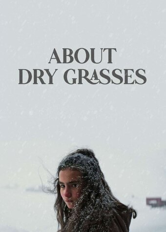 About Dry Grasses