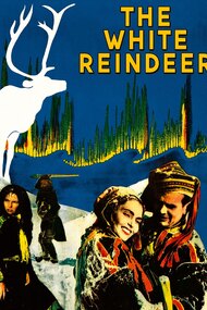 The White Reindeer