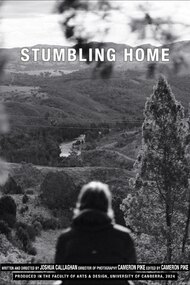 Stumbling Home