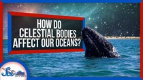 SciShow Space - Episode 52 - How Celestial Bodies Affect Life in the Ocean