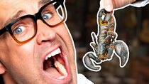 Good Mythical Morning - Episode 109 - Who Has To Eat The Scorpion? (Game)