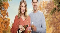 Hallmark A Little Romance - Episode 3 - Love Under the Olive Tree