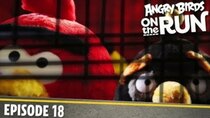 Angry Birds on The Run - Episode 18 - The Bird Cage