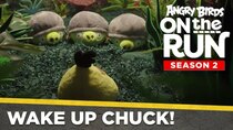 Angry Birds on The Run - Episode 3 - Wake Up Chuck!