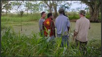 Rogue Trip - Episode 2 - Papua New Guinea