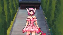 Tokyo Mew Mew - Episode 51 - The last fight! I believe in your smile