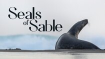 The Nature of Things - Episode 8 - Seals of Sable