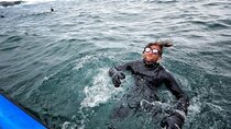 Casey Neistat Vlog - Episode 2 - Surfing with GREAT WHITE SHARKS at DUNGEONS SOUTH AFRICA