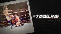 WWE Timeline - Episode 1 - Whatever It Takes