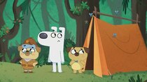 Dog Loves Books - Episode 34 - Dog Loves Camping