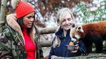 Animal Park UK - Episode 2