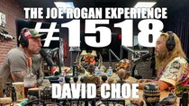 The Joe Rogan Experience - Episode 113 - #1518 - David Choe