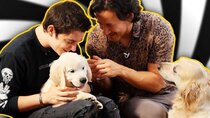 Unus Annus - Episode 238 - Mark and Ethan Look at a Puppy for 10 Minutes