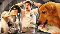 Unus Annus - Episode 247 - Preparing a 5-Star Meal for Our Youtube Famous Dogs