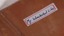 My Wonderful Life - Episode 44