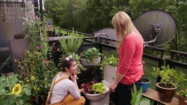 The Beechgrove Garden - S42E11 - 