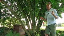 The Beechgrove Garden - Episode 19