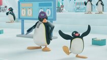 Pingu in the City - Episode 9