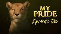 My Pride - Episode 2 - Nothing