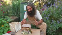 Gardening Australia - Episode 26