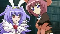 Kagihime Monogatari Eikyuu Alice Rondo - Episode 9 - Turtle's Story