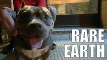 Rare Earth - Episode 12 - This Dog Licked My Foot