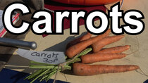 Cruising the Cut - Episode 227 - Carrots