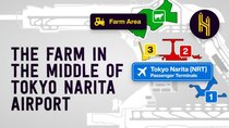 Half as Interesting - Episode 59 - The Farmer That Lives in the Middle of Tokyo Narita Airport