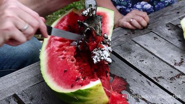 TheBackyardScientist - S2015E06 - Pouring Molten Aluminum In a Watermelon. Awesome Surprise!