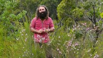 Gardening Australia - Episode 29