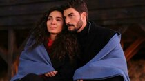 Hercai - Episode 14