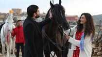 Hercai - Episode 25