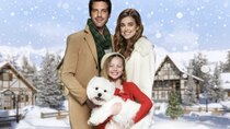 Lifetime Christmas Movies - Episode 28 - Christmas Love Letter