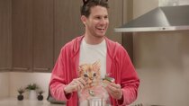 Tosh.0 - Episode 4 - Cat Food Reviewer