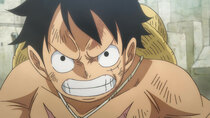 One Piece - Episode 949 - We're Here to Win! Luffy's Desperate Scream!