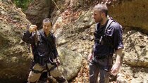 Running Wild with Bear Grylls - Episode 10 - Zachary Quinto in the Panama Jungle