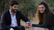 Hercai - Episode 9