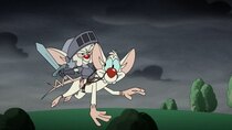 Animaniacs - Episode 6 - How to Brain Your Dragon