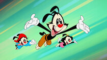 Animaniacs - Episode 2 - Suspended Animation (1)