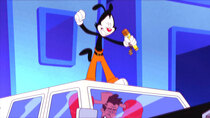 Animaniacs - Episode 22 - Gift Rapper